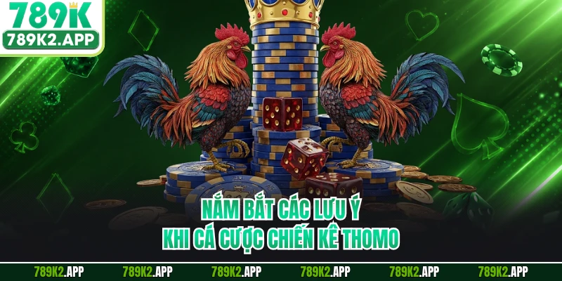 Nắm bắt các lưu ý khi cá cược chiến kê Thomo