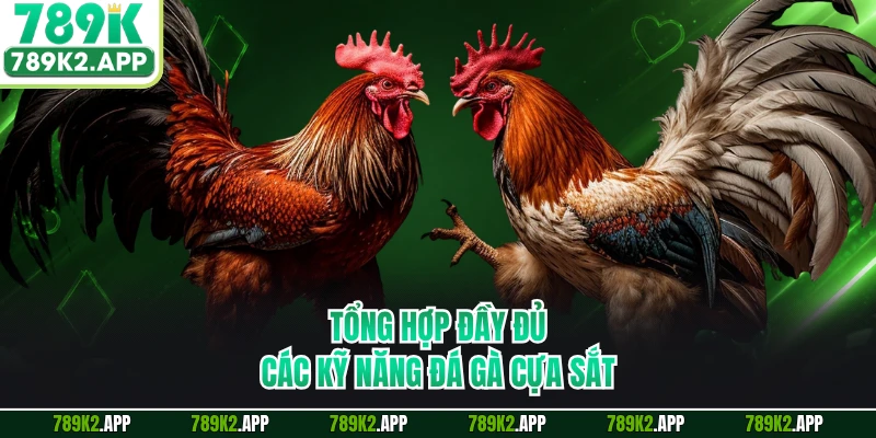 Tổng hợp đầy đủ các kỹ năng đá gà cựa sắt